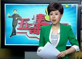 幫助困難家庭義務滅蟲服務