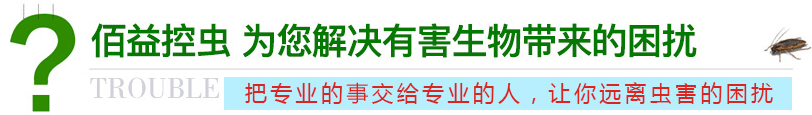 佰益控蟲 為您解決有害生物帶來的困擾
